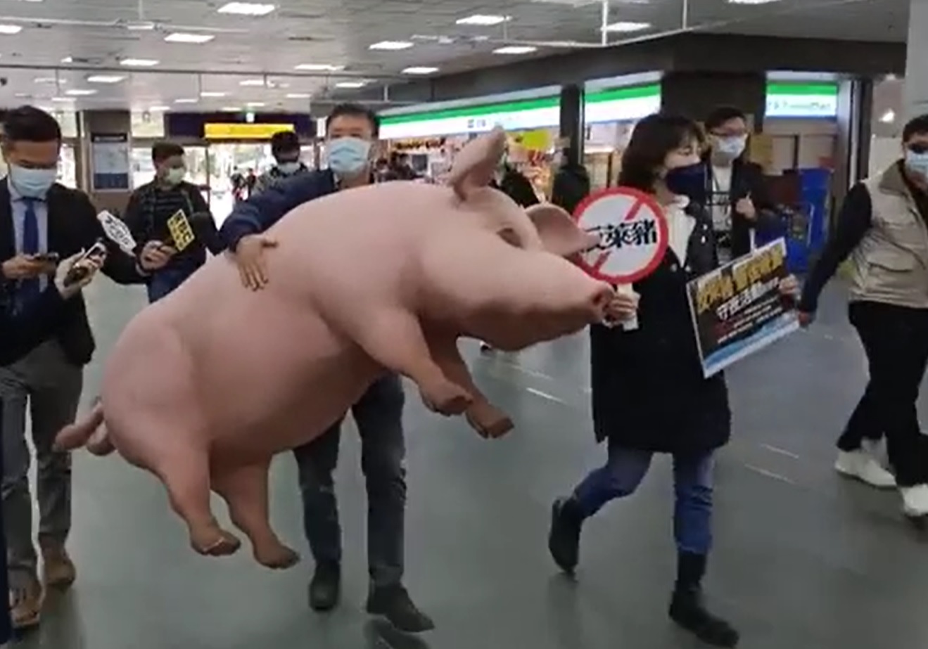 全台宣傳反萊豬 國民黨要帶3萬元道具豬遊台灣