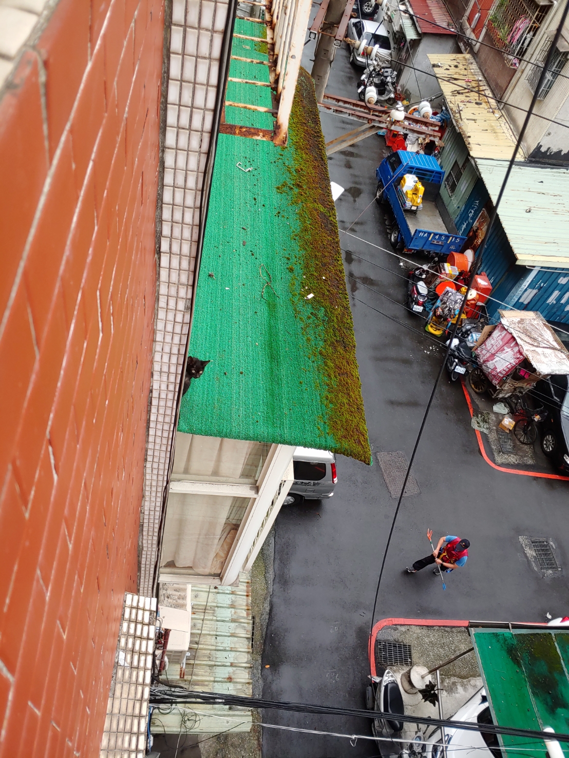 五股的幼貓受困民宅三樓遮雨棚。 圖:新北市動保處提供 五股的幼貓受困民宅三樓遮雨棚。 圖:新北市動保處提供
