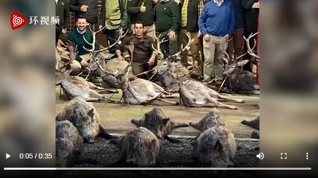 一組540頭野生動物屍體的合照在國外社交媒體上引起轟動。照片中這些鹿和野豬的屍體被擺放整齊,獵人站在其中咧嘴大笑跟戰利品合影。 圖 : 翻攝自環視頻 一組540頭野生動物屍體的合照在國外社交媒體上引起轟動。照片中這些鹿和野豬的屍體被擺放整齊,獵人站在其中咧嘴大笑跟戰利品合影。 圖 : 翻攝自環視頻