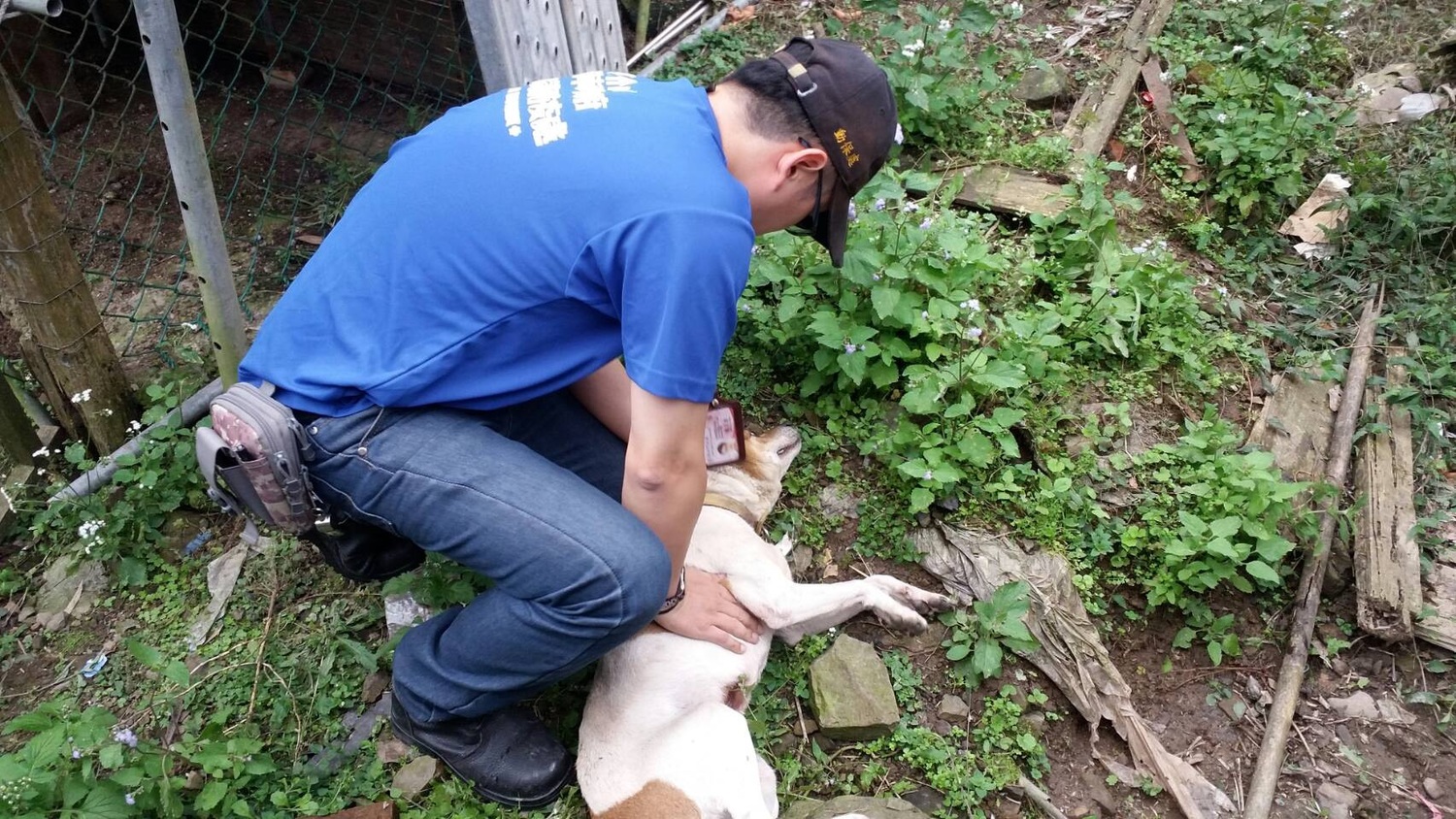 新北動保處傳授動物CPR   黃金3分鐘救回毛寶貝