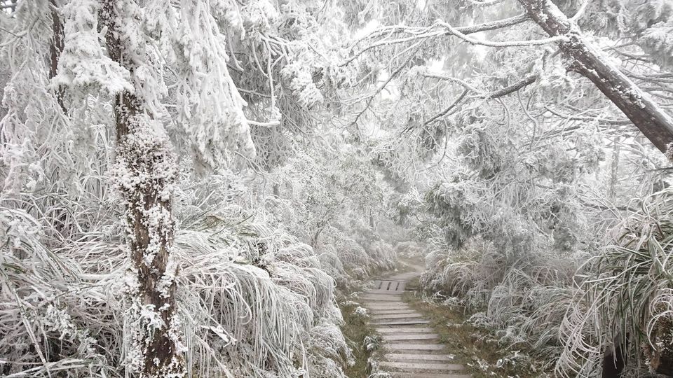 太平山國家森林園區翠峰湖區的殘雪景緻。 圖：翻攝自太平山國家森林遊樂區臉書