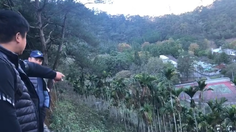 和平區東關路1段台電巷1公里處果園疑有受傷小黑熊,相關單位正搜尋中。 圖:和平警分局/提供 和平區東關路1段台電巷1公里處果園疑有受傷小黑熊,相關單位正搜尋中。 圖:和平警分局/提供