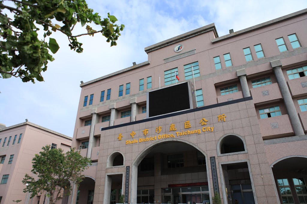 獨居婦沒飯吃求助遭譏？中市澄清：已安排一週7天居家訪視