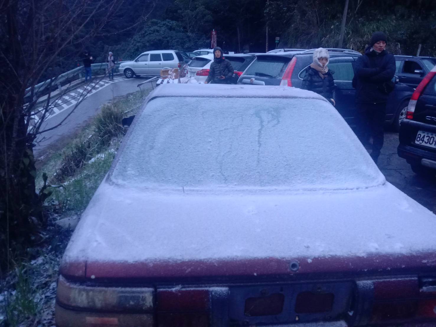 民眾上拉拉山賞雪,車子被白雪覆蓋。 圖:桃園市政府觀旅局/提供 民眾上拉拉山賞雪,車子被白雪覆蓋。 圖:桃園市政府觀旅局/提供