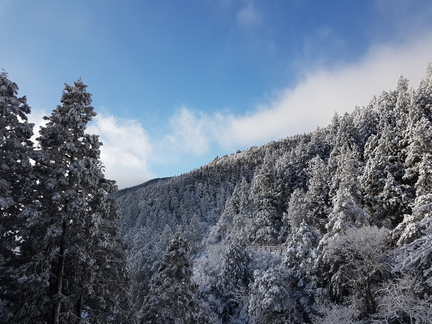 太平山雪景。 圖:翻攝自太平山國家森林遊樂園臉書 太平山雪景。 圖:翻攝自太平山國家森林遊樂園臉書