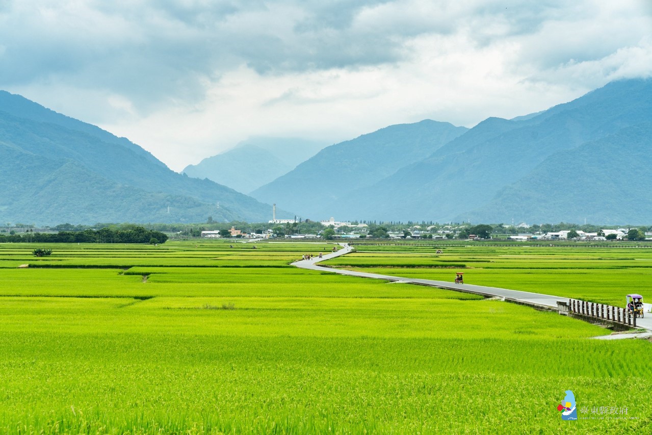 池上稻田。 圖:台東縣政府/提供 池上稻田。 圖:台東縣政府/提供