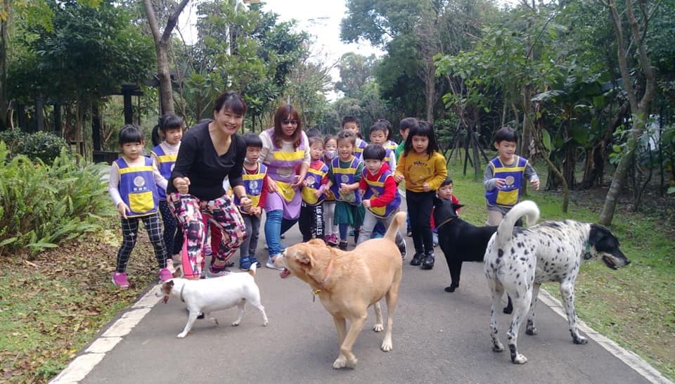 林口華邇街幼兒園和毛寶貝一起校外教學。 圖:新北市動保處提供 林口華邇街幼兒園和毛寶貝一起校外教學。 圖:新北市動保處提供
