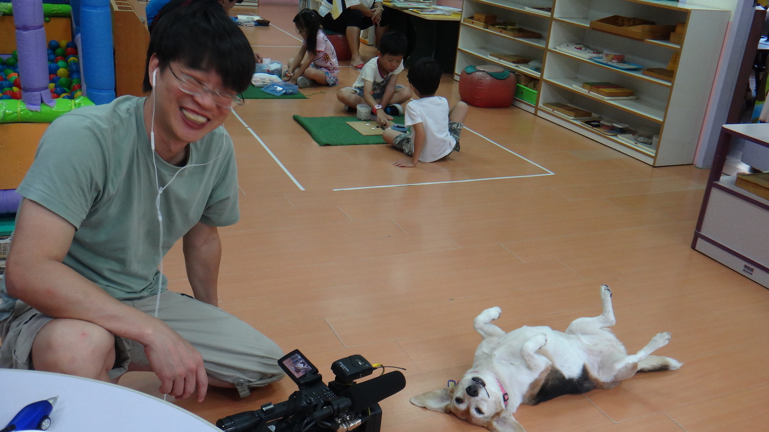浪浪「珍珠」在林口華邇街幼兒園內放鬆撒嬌。 圖:新北市動保處提供 浪浪「珍珠」在林口華邇街幼兒園內放鬆撒嬌。 圖:新北市動保處提供