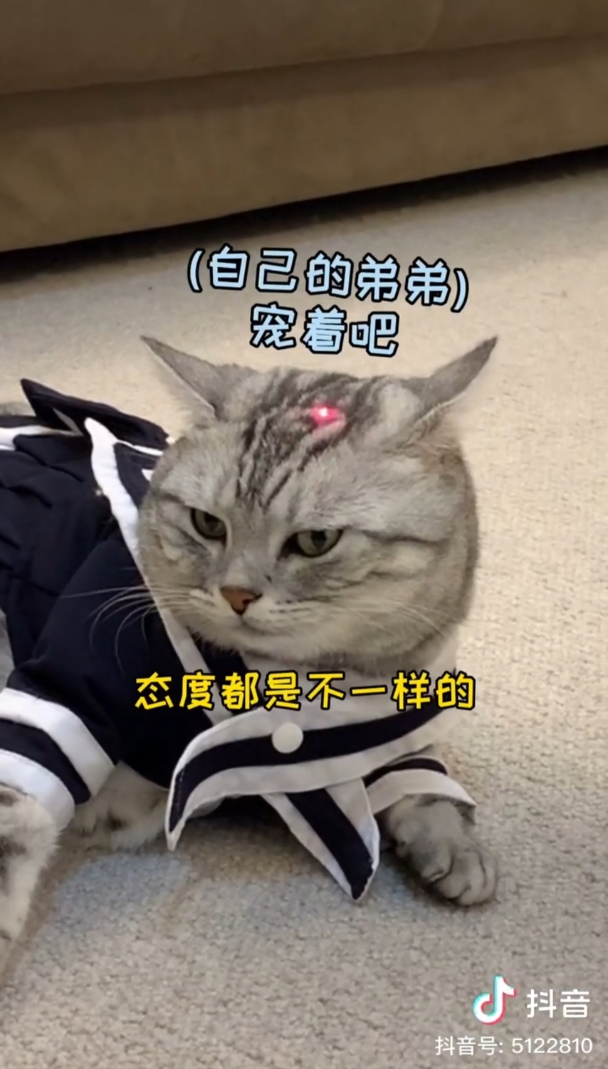 安生偏心寵弟弟。 圖:翻攝抖音/安生的爸爸 安生偏心寵弟弟。 圖:翻攝抖音/安生的爸爸