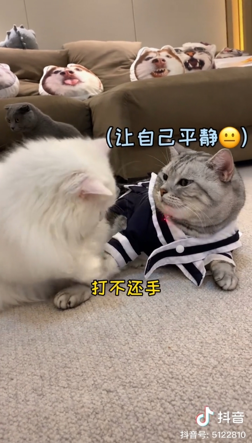 安生與弟弟大蒜。 圖:翻攝抖音/安生的爸爸 安生與弟弟大蒜。 圖:翻攝抖音/安生的爸爸
