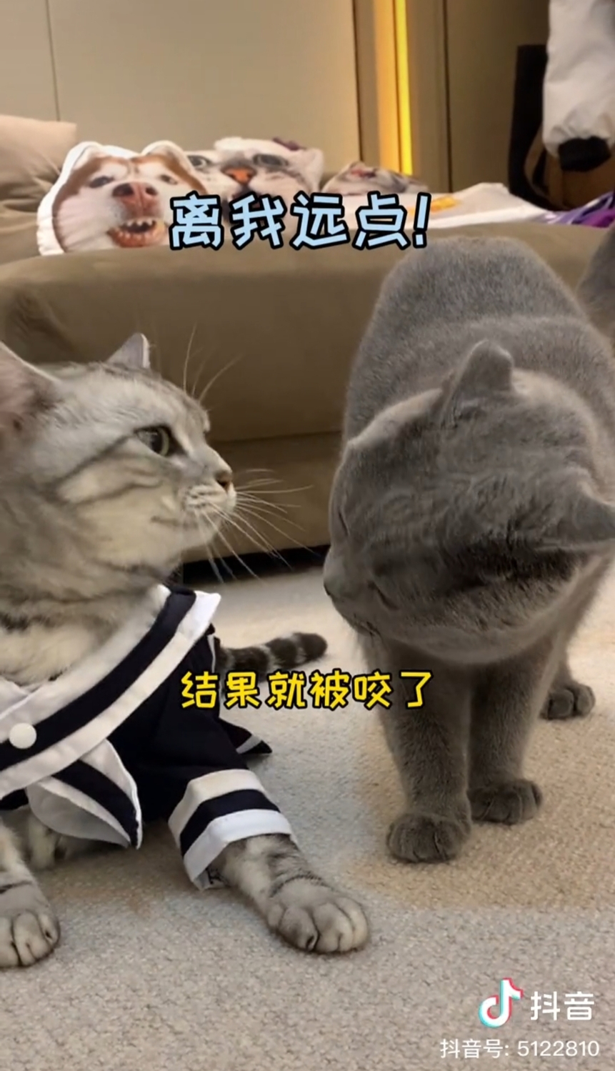 安生(左)與弟弟七月(右)。 圖:翻攝抖音/安生的爸爸 安生(左)與弟弟七月(右)。 圖:翻攝抖音/安生的爸爸