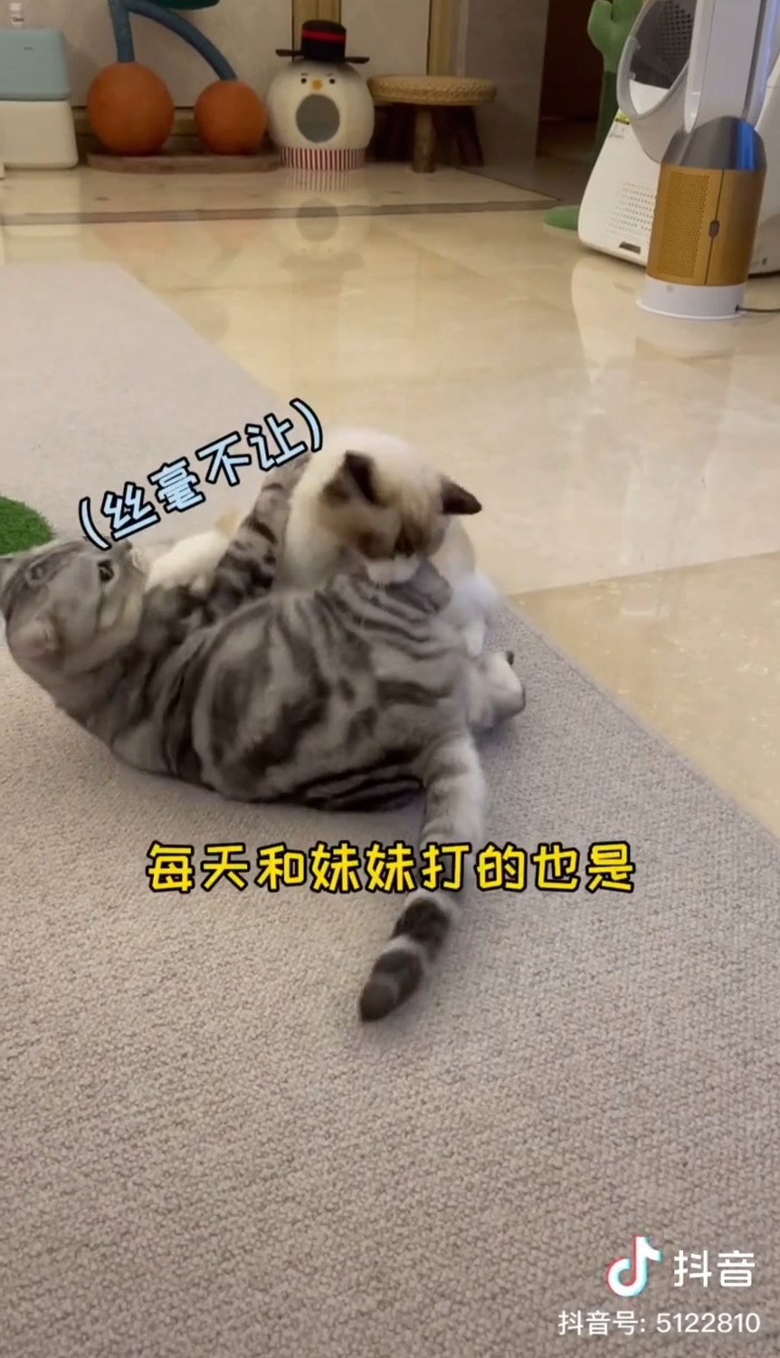 安生與妹妹。 圖:翻攝抖音/安生的爸爸 安生與妹妹。 圖:翻攝抖音/安生的爸爸