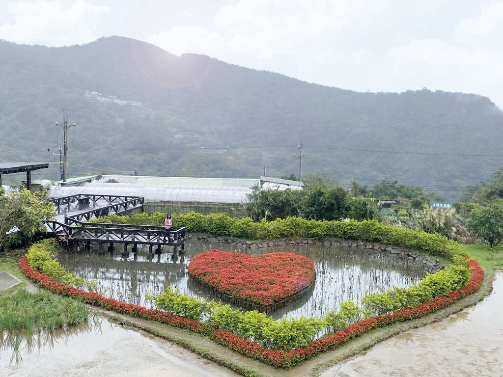 同心池浪漫紅色愛心映入眼簾。 圖:取自台北旅遊網 同心池浪漫紅色愛心映入眼簾。 圖:取自台北旅遊網