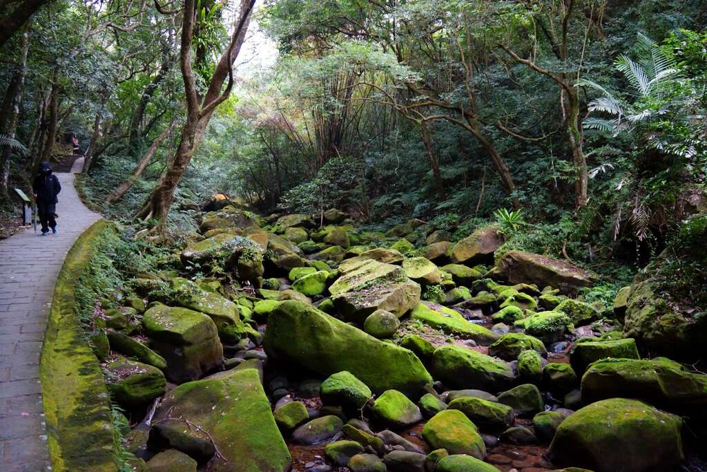 大溝溪生態治水園區與五指山系登山步道串聯。 圖:取自台北旅遊網 大溝溪生態治水園區與五指山系登山步道串聯。 圖:取自台北旅遊網