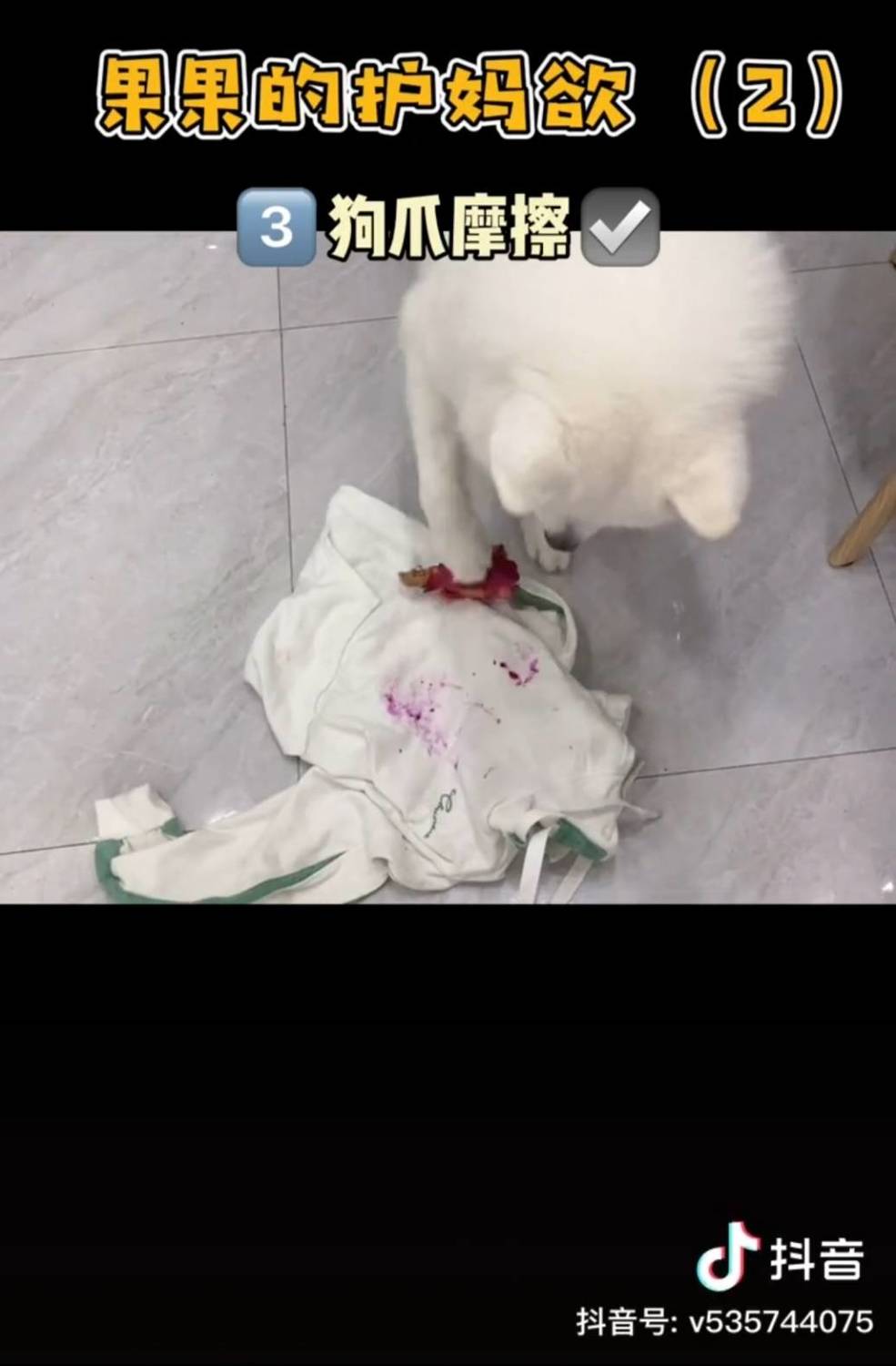 果果鴨將火龍果抹在衣服上。 圖:翻攝抖音/果果鴨 果果鴨將火龍果抹在衣服上。 圖:翻攝抖音/果果鴨