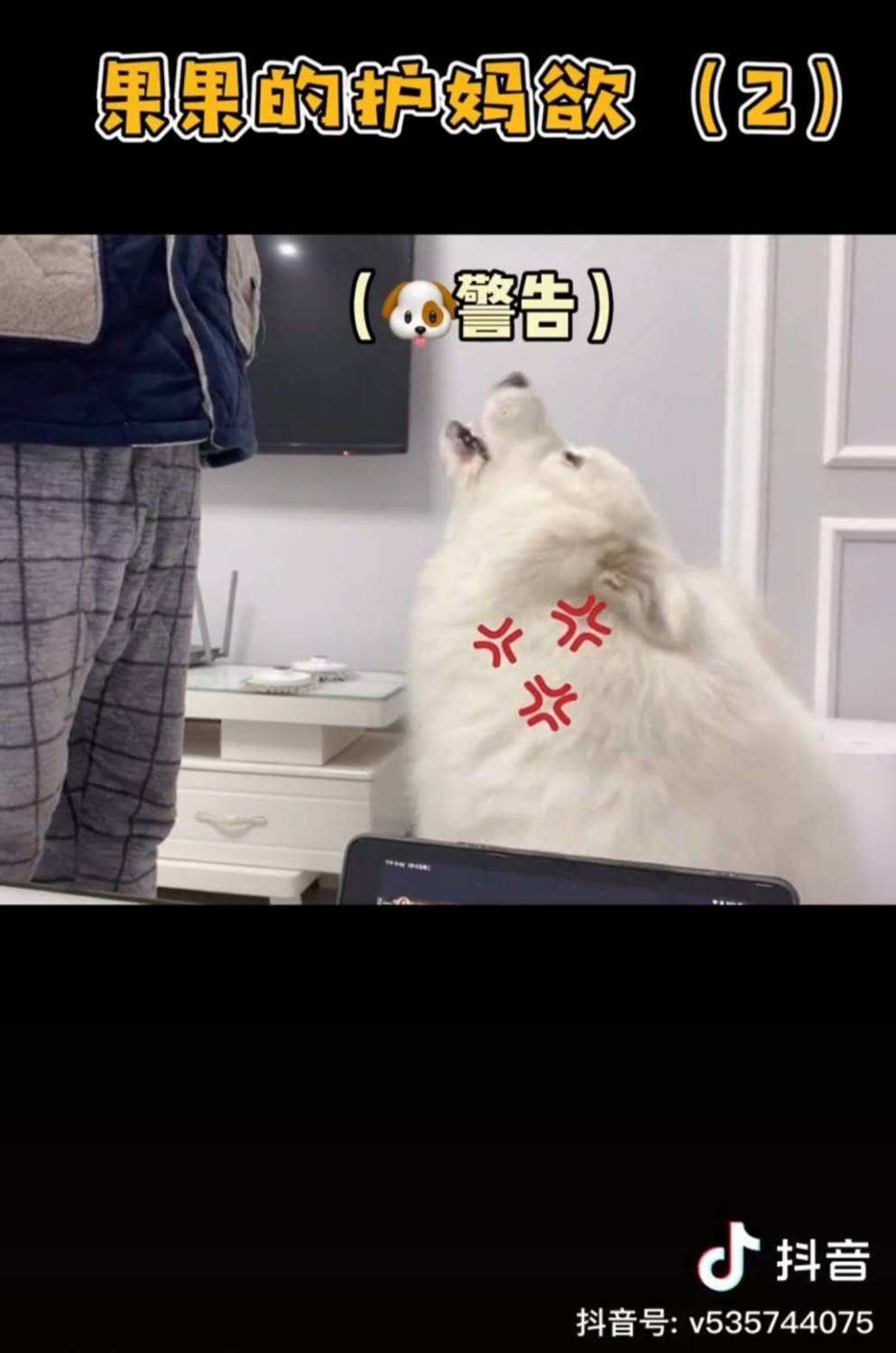 果果鴨對主人男友叫。 圖:翻攝抖音/果果鴨 果果鴨對主人男友叫。 圖:翻攝抖音/果果鴨
