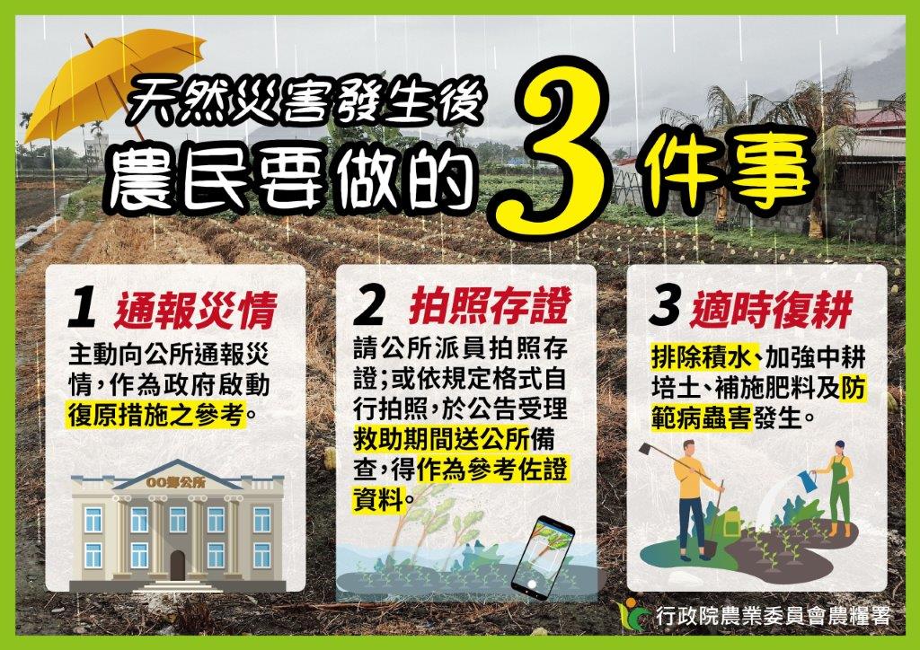 農作物災害發生後建議的作法 圖:農糧署/提供 農作物災害發生後建議的作法 圖:農糧署/提供