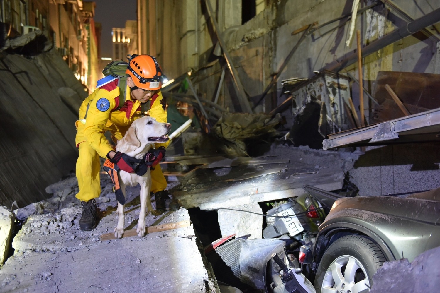 搜救犬在現場反覆搜索,幸無人員傷亡。 圖:高雄市政府/提供 搜救犬在現場反覆搜索,幸無人員傷亡。 圖:高雄市政府/提供