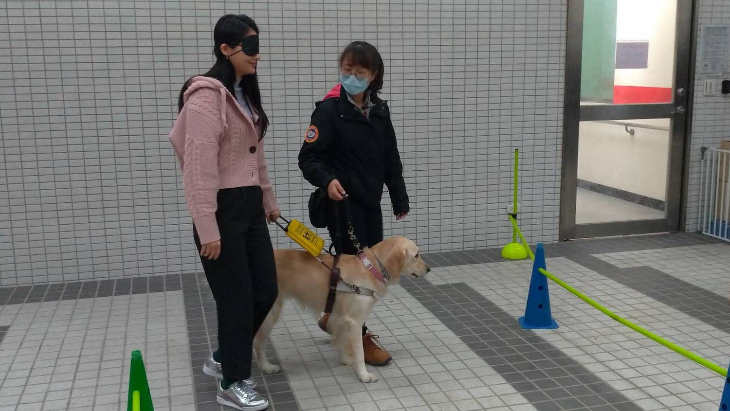 賴品妤體驗視障者讓導盲犬牽引。 圖:陳佩君/攝 賴品妤體驗視障者讓導盲犬牽引。 圖:陳佩君/攝