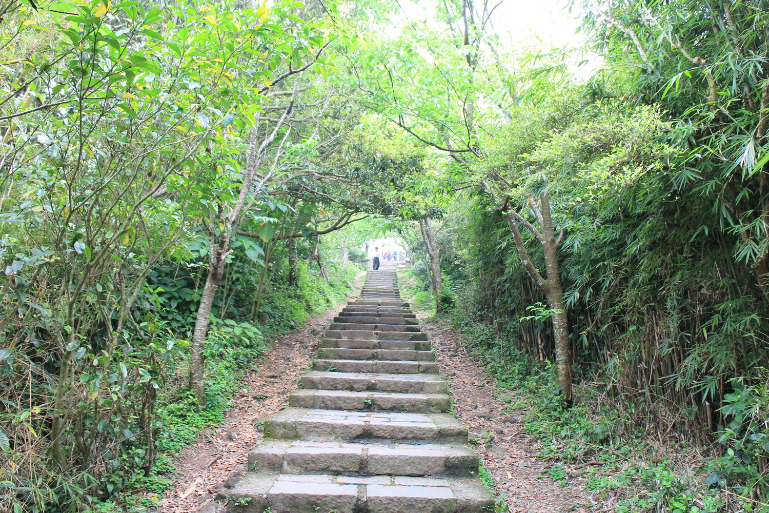燃脂出遊,五股、八里區的硬漢嶺登山步道絕對必選。 圖:新北市政府提供 燃脂出遊,五股、八里區的硬漢嶺登山步道絕對必選。 圖:新北市政府提供