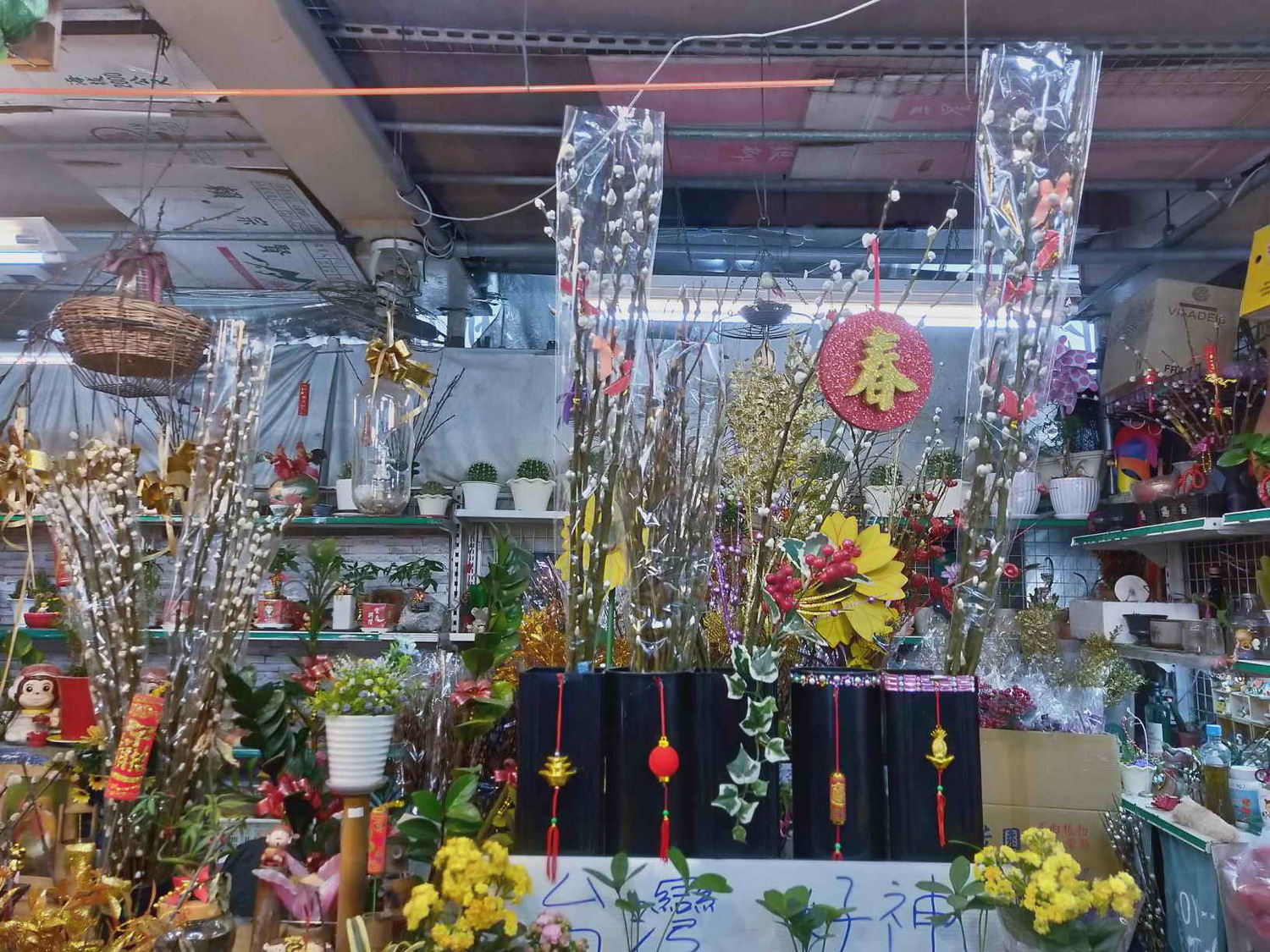 銀柳擺盆是春節擺飾不可獲缺的。 圖:新北市農業局提供 銀柳擺盆是春節擺飾不可獲缺的。 圖:新北市農業局提供