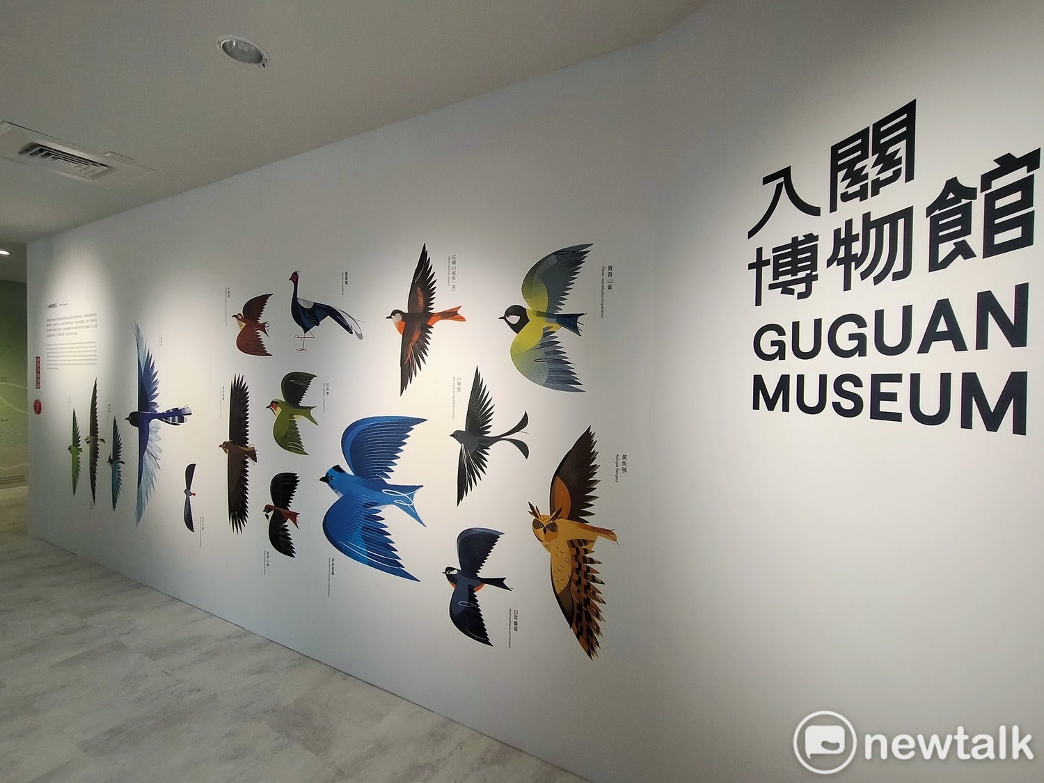 入關博物館介紹當地的鳥類。 唐復年/攝 入關博物館介紹當地的鳥類。 唐復年/攝