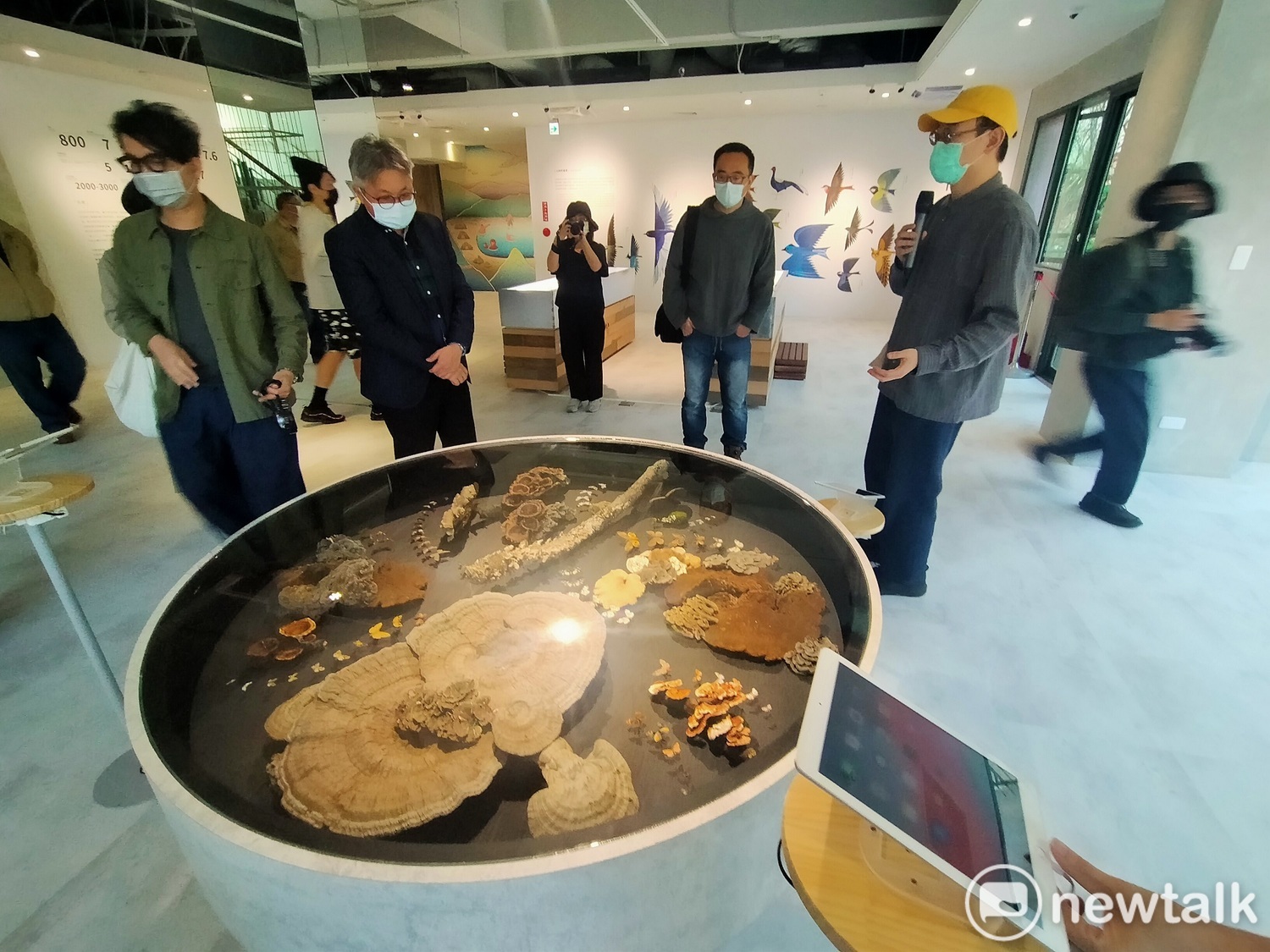 入關博物館有當地動植物標本。 唐復年/攝 入關博物館有當地動植物標本。 唐復年/攝