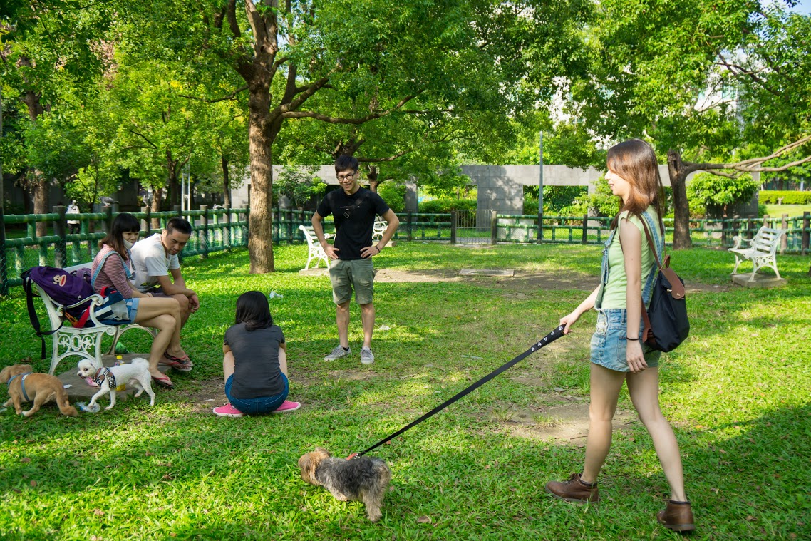 新北市寵物公園提供飼主與狗戶外活動休憩空間。 圖:新北市動保處提供 新北市寵物公園提供飼主與狗戶外活動休憩空間。 圖:新北市動保處提供