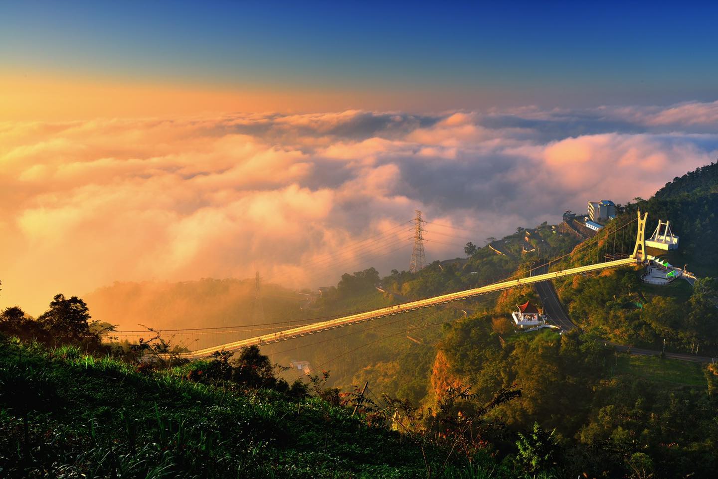 太平雲梯蟬聯阿里山風景區人氣王,付費登梯人數3萬6,673人。 圖:取自粉專「太平雲梯」 太平雲梯蟬聯阿里山風景區人氣王,付費登梯人數3萬6,673人。 圖:取自粉專「太平雲梯」