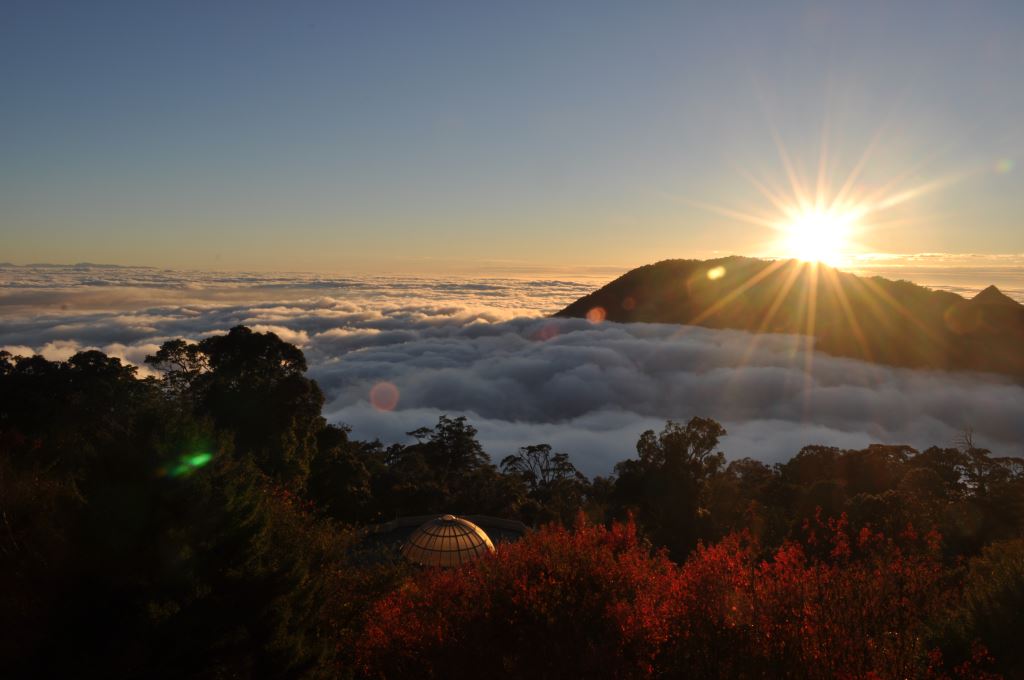 大雪山大雪山國家森林遊樂區美景。 圖:台中市觀旅局/提供 大雪山大雪山國家森林遊樂區美景。 圖:台中市觀旅局/提供