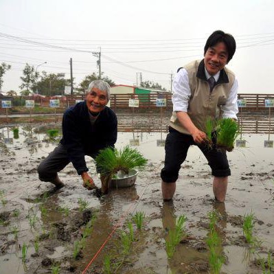 副總統賴清德20日臉書貼出先前與崑濱伯一起插秧的照片 圖:賴清德臉書 副總統賴清德20日臉書貼出先前與崑濱伯一起插秧的照片 圖:賴清德臉書