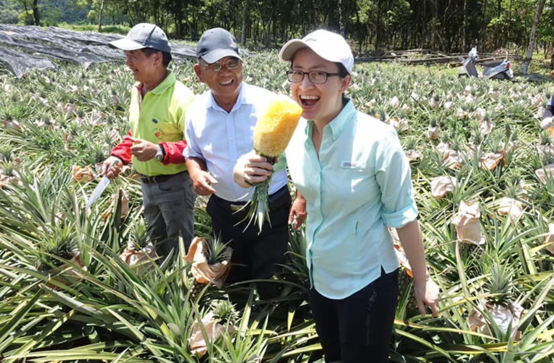 中國突然宣布禁止進口台灣鳳梨,駐美代表蕭美琴臉書發「鳳梨圖」挺農民。 圖 : 翻攝自蕭美琴臉書 中國突然宣布禁止進口台灣鳳梨,駐美代表蕭美琴臉書發「鳳梨圖」挺農民。 圖 : 翻攝自蕭美琴臉書
