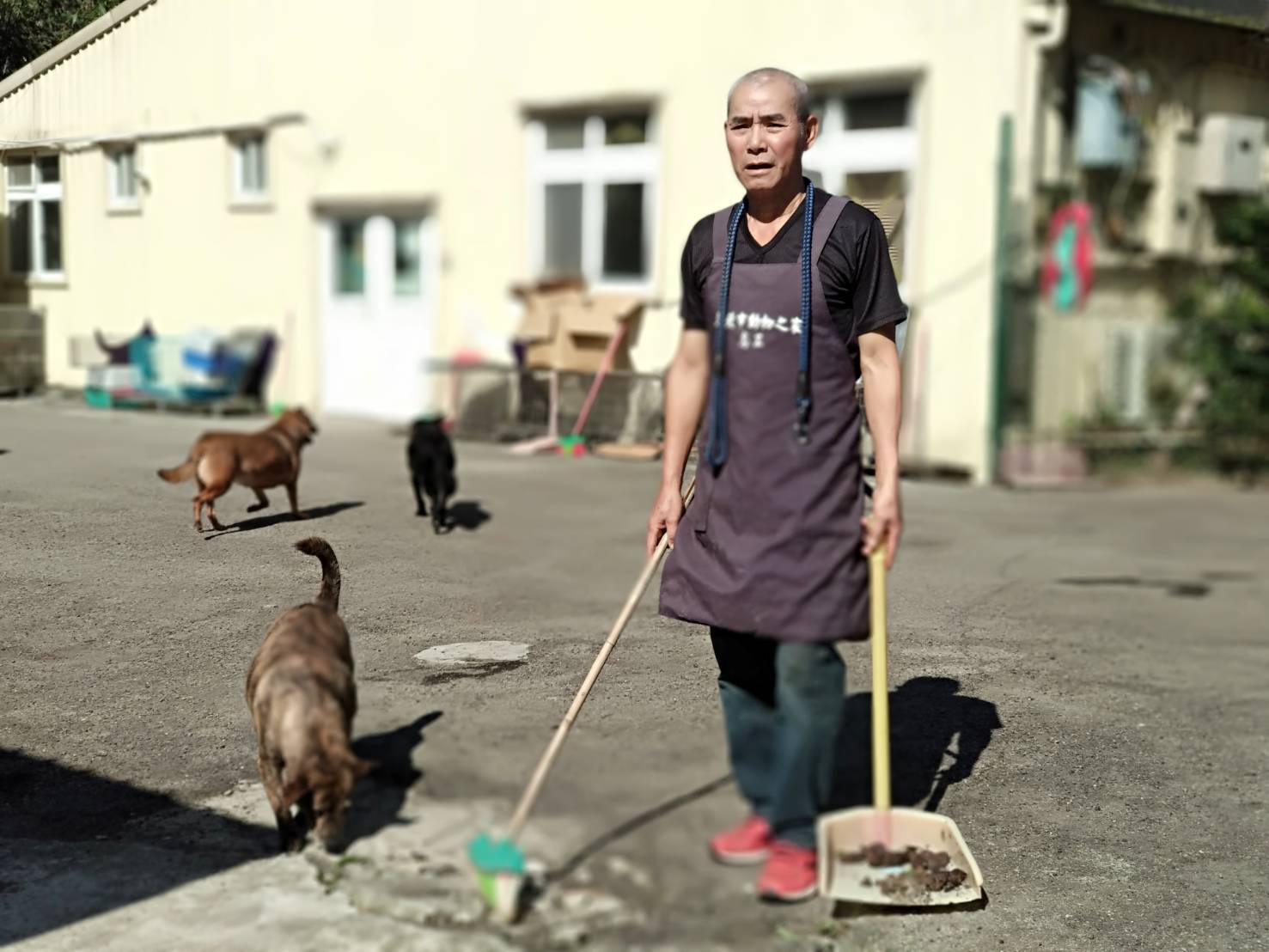 牽狗散步、餵食、清掃屎便是日常培養感情第一步,彭昭左甘之如飴。 圖:新北市動物處提供 牽狗散步、餵食、清掃屎便是日常培養感情第一步,彭昭左甘之如飴。 圖:新北市動物處提供
