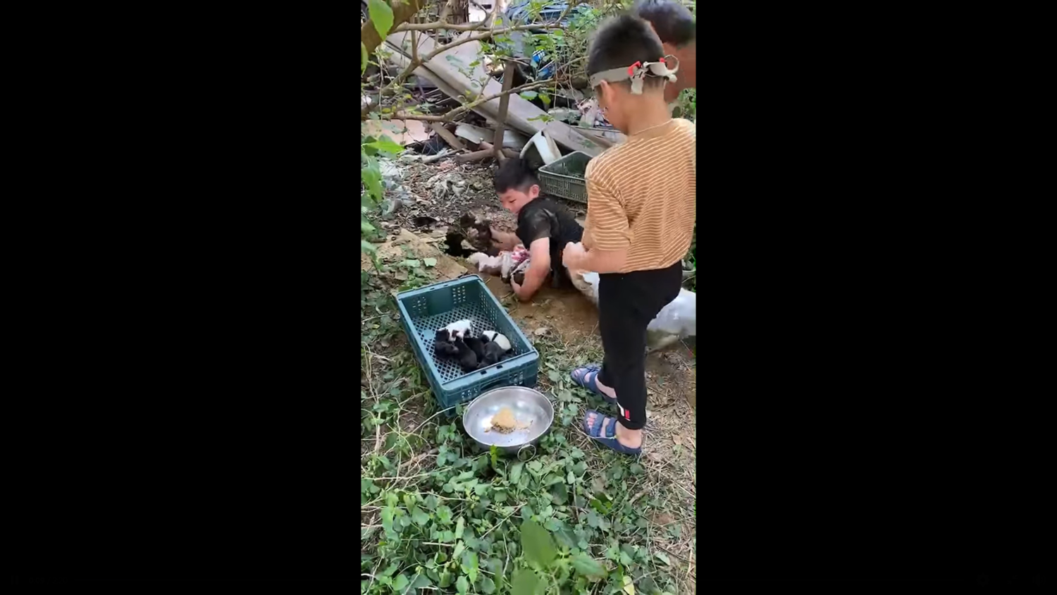 小朋友接力鑽地洞救幼犬。 圖:翻攝自米克斯傳奇 臉書社團 小朋友接力鑽地洞救幼犬。 圖:翻攝自米克斯傳奇 臉書社團