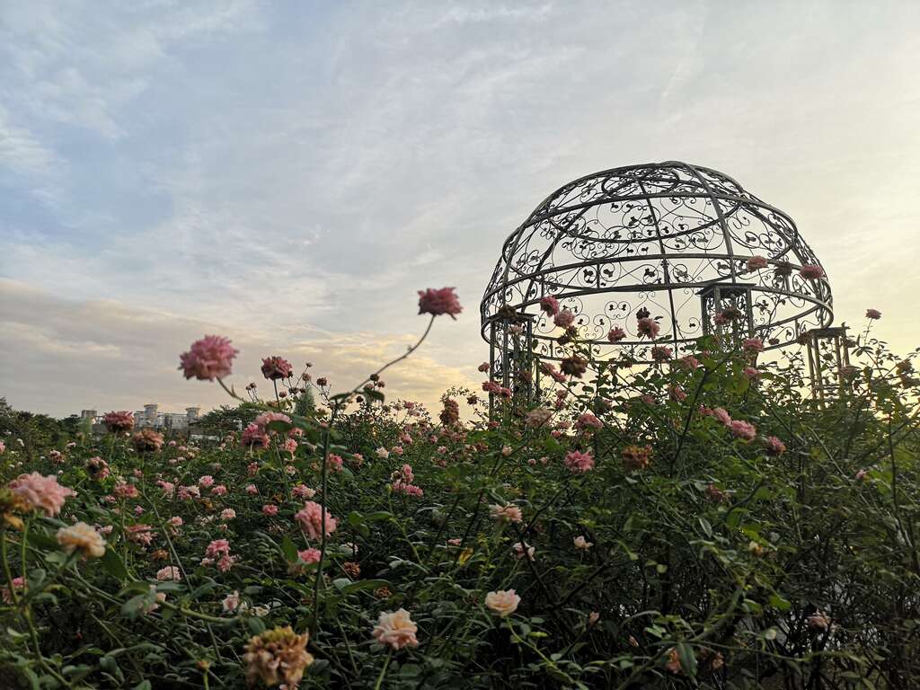 玫瑰園光之穹頂。 圖:取自台北旅遊網 玫瑰園光之穹頂。 圖:取自台北旅遊網