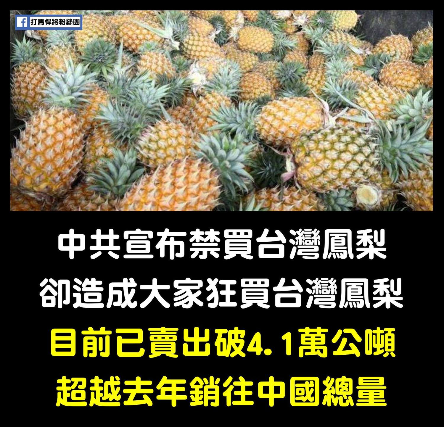 鳳梨銷量直線上升中。 圖:擷取自臉書 鳳梨銷量直線上升中。 圖:擷取自臉書