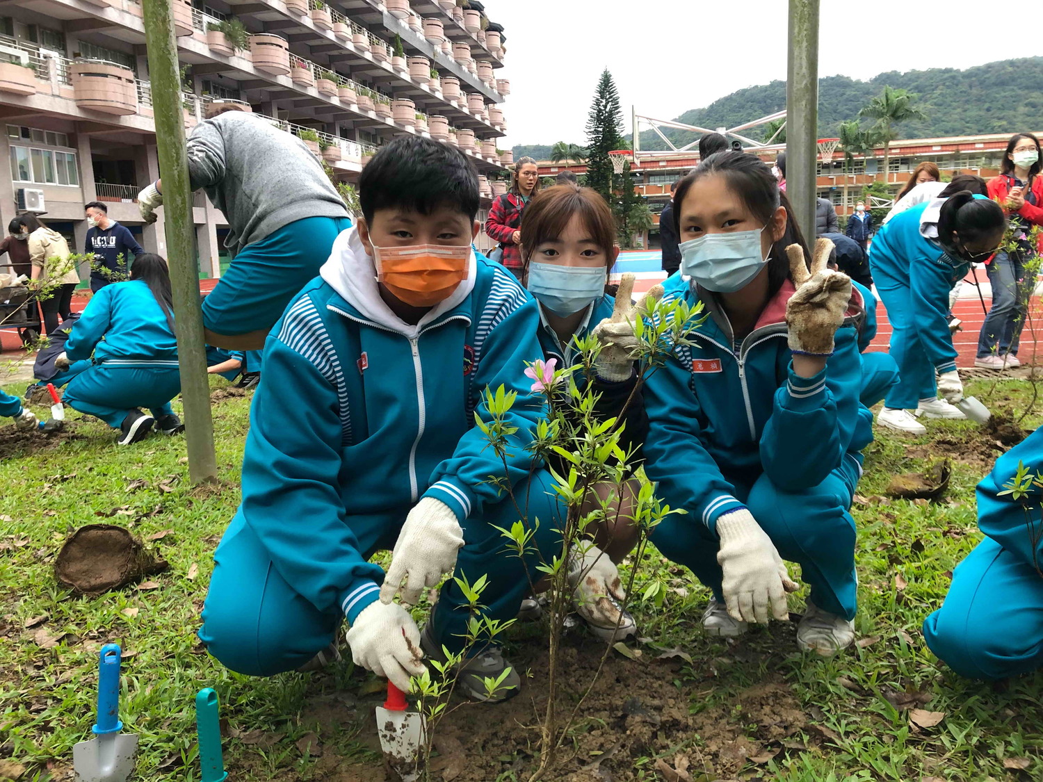 石碇高中學生體驗種植烏來杜鵑實生苗。 圖:新北市農業局提供 石碇高中學生體驗種植烏來杜鵑實生苗。 圖:新北市農業局提供