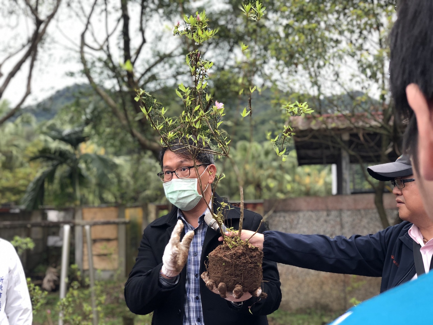 嘉義大學林瑞進副教授說明烏來杜鵑實生苗種植方式。 圖:新北市農業局提供 嘉義大學林瑞進副教授說明烏來杜鵑實生苗種植方式。 圖:新北市農業局提供