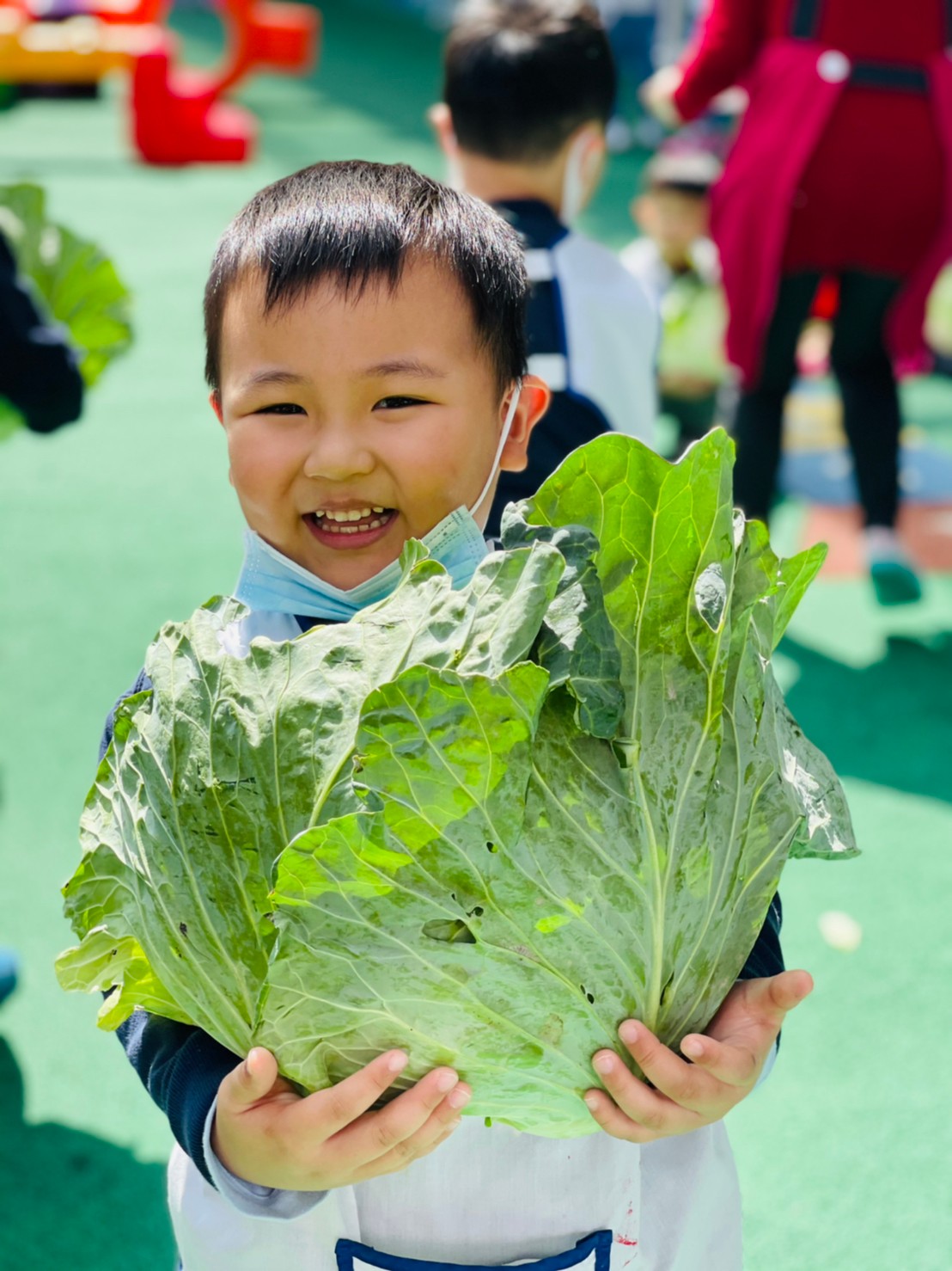 竹林附幼的小朋友抱著高麗菜,喜形於色。 圖:竹林中學提供 竹林附幼的小朋友抱著高麗菜,喜形於色。 圖:竹林中學提供