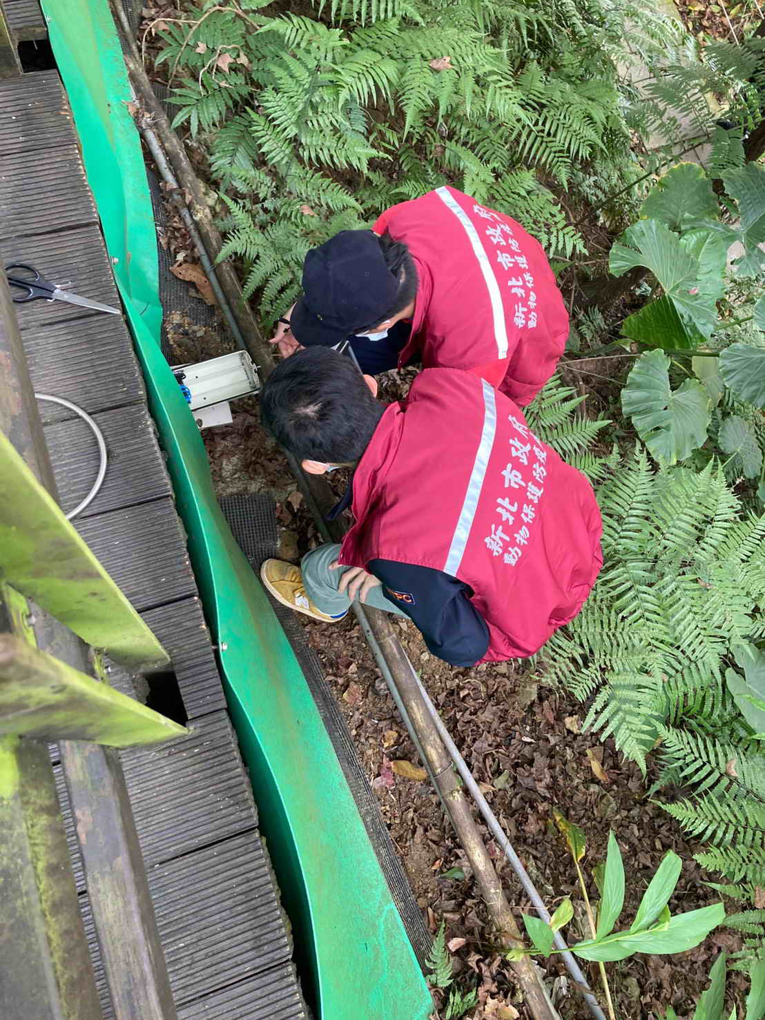 動物廊道出口處架設監視器。 圖:新北市動保處提供 動物廊道出口處架設監視器。 圖:新北市動保處提供