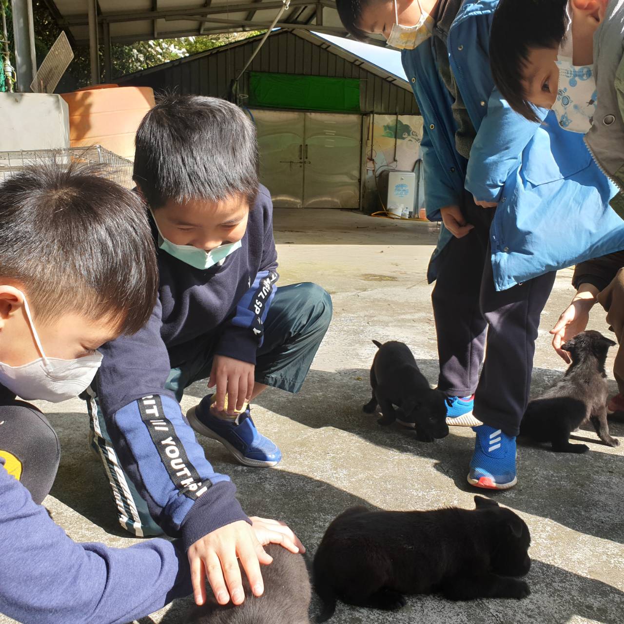 雲海國小小朋友與犬隻互動。 圖:新北市動保處提供 雲海國小小朋友與犬隻互動。 圖:新北市動保處提供