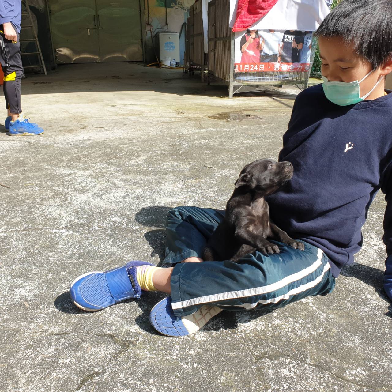 小朋友沒多久就和毛寶貝玩成一片。 圖:新北市動保處提供 小朋友沒多久就和毛寶貝玩成一片。 圖:新北市動保處提供