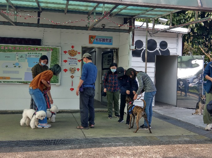 教練陳彥佑幫吳小姐訓練嘟嘟跟妞妞。 圖:新北市動保處提供 教練陳彥佑幫吳小姐訓練嘟嘟跟妞妞。 圖:新北市動保處提供