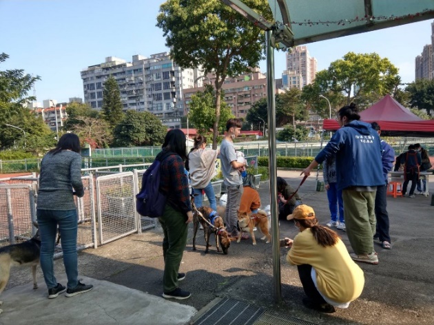 教練們觀察飼主與毛寶貝互動。 圖:新北市動保處提供 教練們觀察飼主與毛寶貝互動。 圖:新北市動保處提供