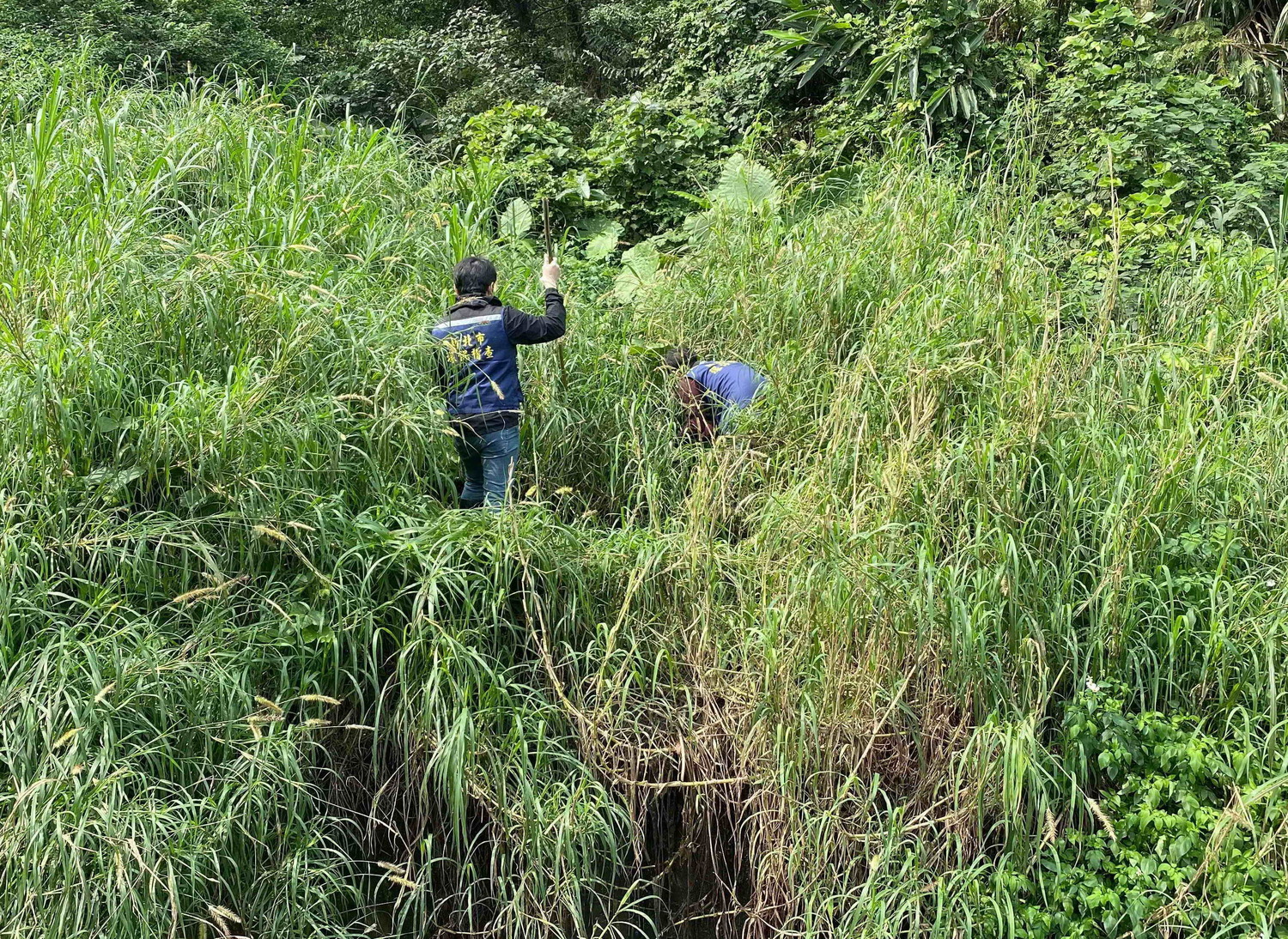 稽查員於山林中進行探查。 圖:新北市環保局提供 稽查員於山林中進行探查。 圖:新北市環保局提供