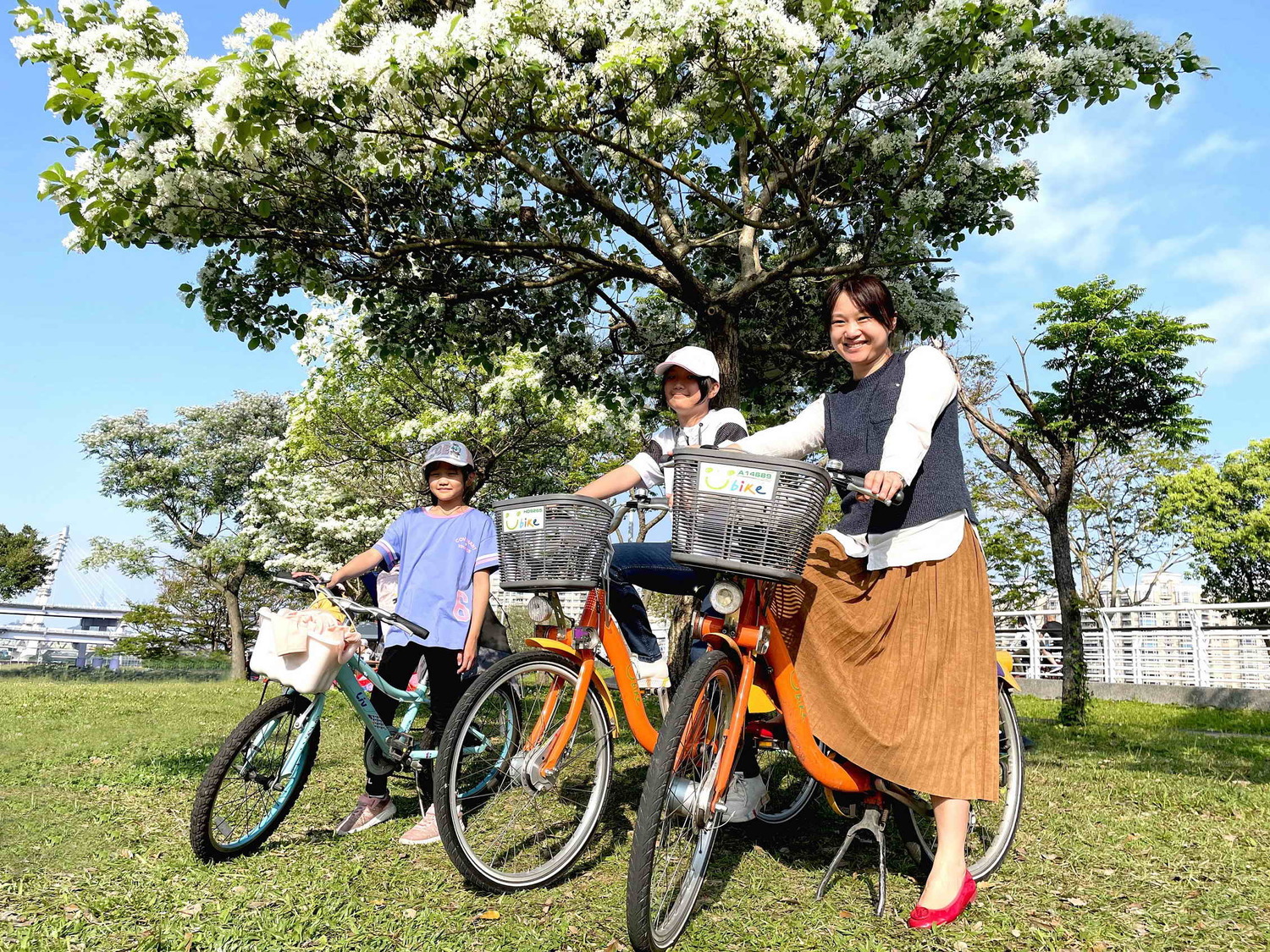 陽光運動公園交通便利,目前正是賞花季節,歡迎民眾至此欣賞。 圖:新北市水利局高灘地工程管理處提供 陽光運動公園交通便利,目前正是賞花季節,歡迎民眾至此欣賞。 圖:新北市水利局高灘地工程管理處提供