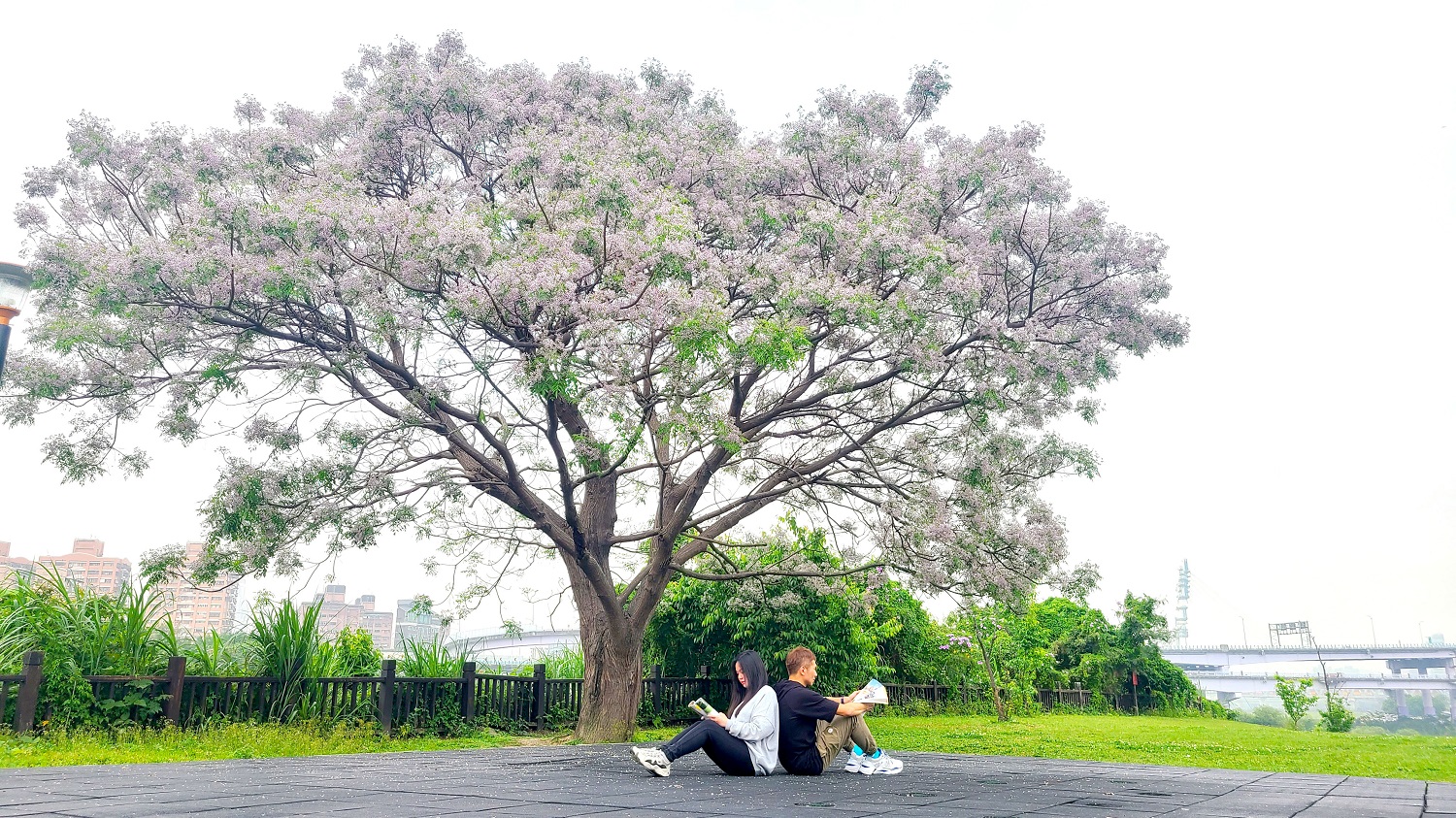 陽光運動公園。 圖:新北市高灘處/提供 陽光運動公園。 圖:新北市高灘處/提供