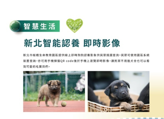 新北智能認養即時影像。 圖:新北市動保處提供 新北智能認養即時影像。 圖:新北市動保處提供