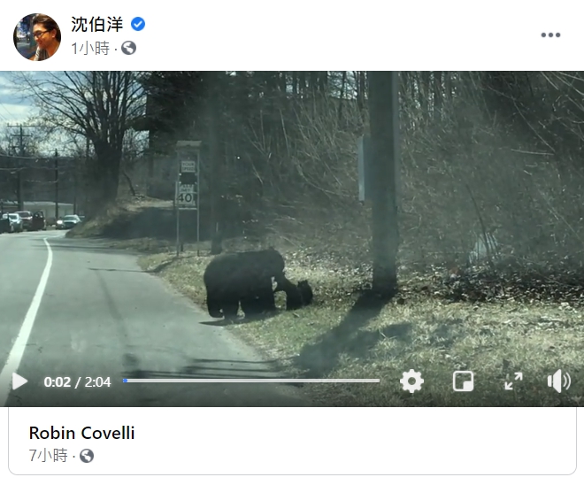 資訊戰專家沈伯洋分享黑熊媽媽帶4隻小黑熊過馬路短片。 圖 : 翻攝自沈伯洋臉書 資訊戰專家沈伯洋分享黑熊媽媽帶4隻小黑熊過馬路短片。 圖 : 翻攝自沈伯洋臉書