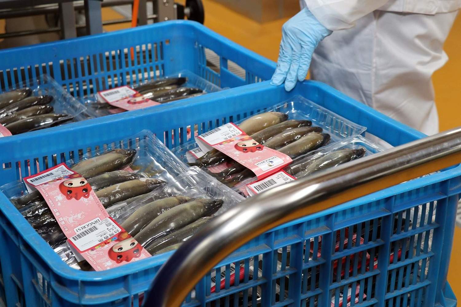 大鼎冷鏈是水產業加入文創元素。 圖:嘉義市政府/提供 大鼎冷鏈是水產業加入文創元素。 圖:嘉義市政府/提供